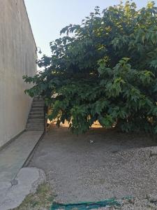 Villas Villa dans le Sud : photos des chambres