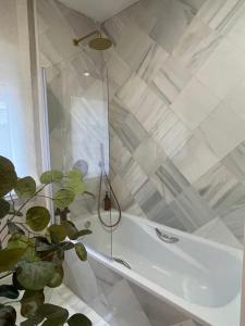 Apartamentos BEJAR - MUSGO