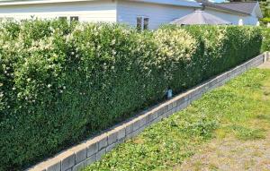 Nice Apartment In Nexø With Wifi