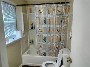 Stylish and Beautiful Condo