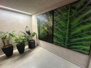 Ap Pamplona Trianon Masp cd 1405