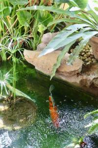 Banjai Garden Guesthouse