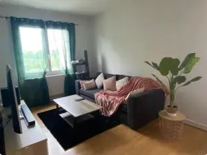 Appartement T2 entier et spacieux près du centre historique de Bayonne - 圣皮耶尔迪吕布
