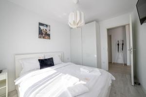 Modern Coresi Studio - Free Private Parking