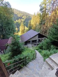 Cabana Zimbru Transfagarasan - Arefu