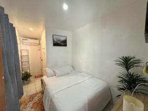 West Coast Beach House