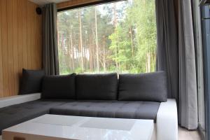 Minimaja saunaga vaatega männimetsale