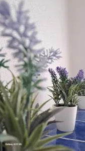 La tappa del vignaiolo Home - Sarule