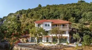 Pelikastri - Мікро