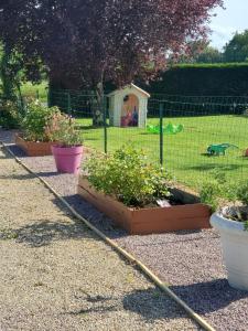 Chalets L'escale en Dordogne : Chalet 1 Chambre