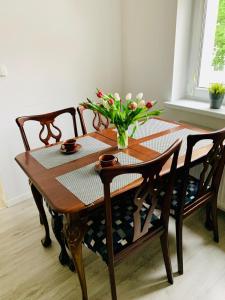 Apartament Fraszka u Kochanowskiego AC Progres