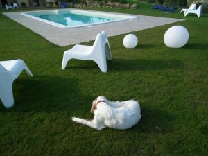 Quadruple Room room in Case Brizi Assisi