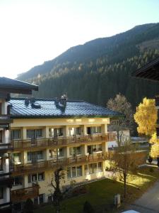 Bear Hutte Saalbach near Billa