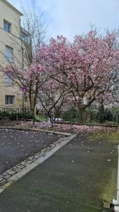 Appartements Studio centre Rennes : photos des chambres