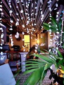 COCO Hause - Banda Kuu