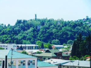 gulnara darakhvelidze