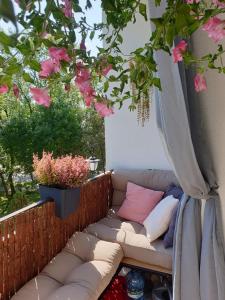 Apartament SZARY przy Arenie Lodowej