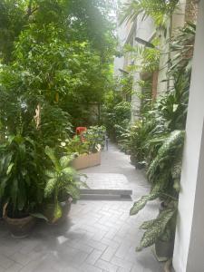 Viriyapon first floor2