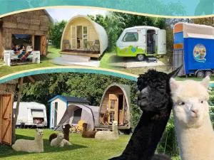 Minicamping Aan de Waterspiegel - 阿赫特克克