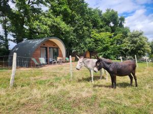 Appartements Gites & Tiny houses Les Hauts de Toulvern : photos des chambres