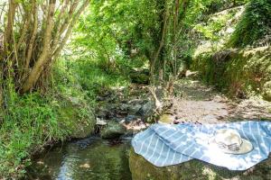 Happy Childhood by the Stream Pet friendly