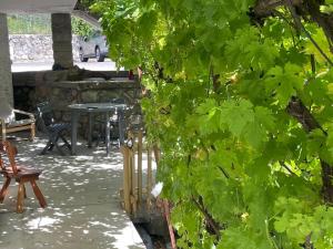 Appartements MARGUERITE GAP Jardin Piscine chauffee : photos des chambres