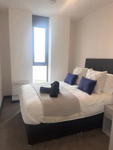 HighPoint one bedroom Apartment