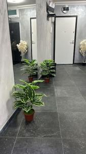 Marilyn Rooms - Suite Catania center