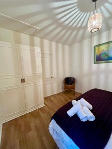 Appartements La Place du Chateau - Vue exceptionnelle sur le chateau de Blois : photos des chambres