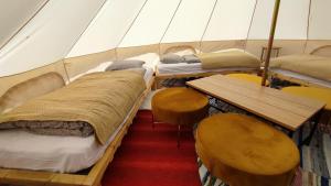 Glamping tälttent - Glampingzelt -Lodge - Sjöutsikt