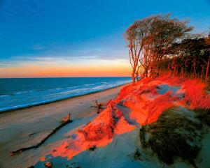 Ferienhaus Sanddorn, Fewo Seetang