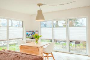 Ferienhaus Sanddorn, Studio