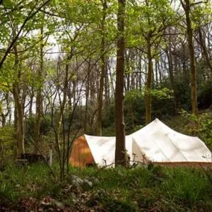 Secret Wood Glamping - Dore