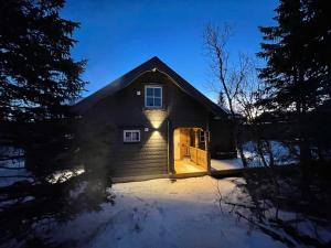 Mountain Birch - Fjäll Bjorken