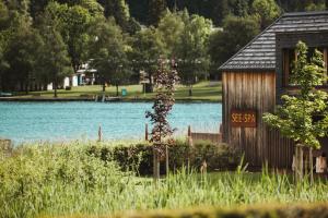 One-Bedroom Apartment room in Regitnig - 4 Sterne Hotel und Chalets