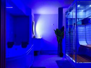 Appartements La bulle cathedrale SPA - SAUNA - HAMMAM - CHAMPAGNE : photos des chambres