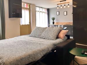 Appartements La bulle cathedrale SPA - SAUNA - HAMMAM - CHAMPAGNE : photos des chambres