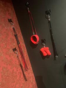 Love hotels Desirs dune nuit - La seductrice : photos des chambres
