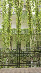 Beautiful newly refurbished studio,fully equipped apartment walking distance to the City Parkyou will find the world famous Szechenyi thermal bath spa, Museums , and the Capital Circus , AC, smart TV, high speed internet