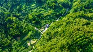 楊家小院 - Zhonghuping