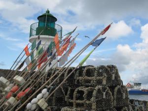 Maisons de vacances Maison de vacances a l'Ile d'Yeu - Les Genets : photos des chambres