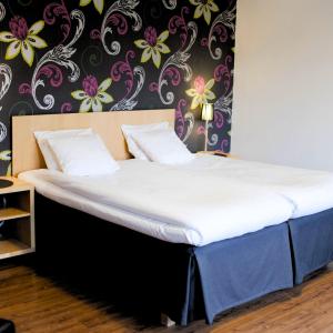Double Room room in Centralhotellet