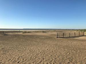 La plage - Les pins ! à 300 m de la plage