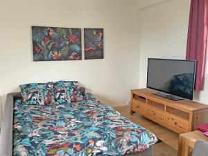 Appartements Tropical Cosy : photos des chambres