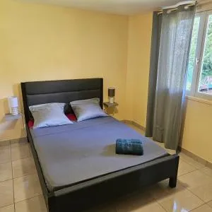 Les berges - Rivière du Mât-les Hauts