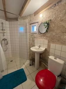 Maisons de vacances Chaumiere en Brenne : photos des chambres