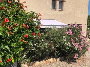 Appartements Le Cocon de Provence : photos des chambres