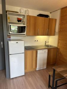 logement chaleureux 1 chamb pied des pistes