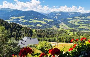Ferienwohnung Mit Bergpanorama