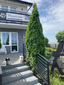 Słoneczna - Starzyński Dwór